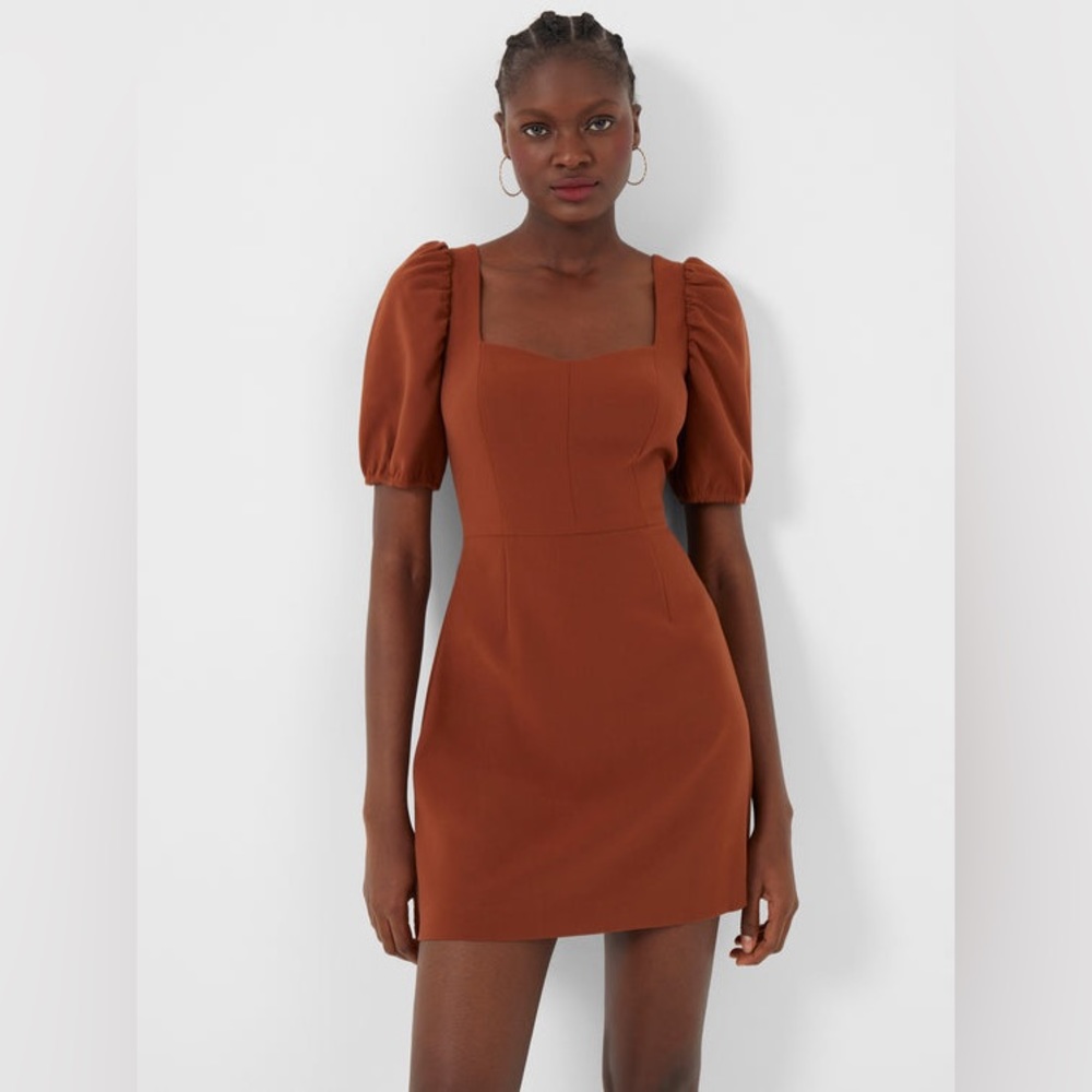 French Connection Berina Whisper Puff Sleeve Dress New with Tags